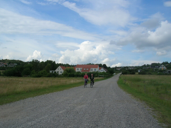 50